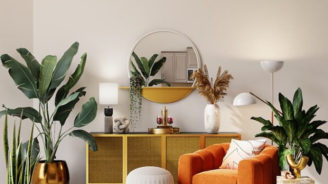 green plant on white ceramic pot